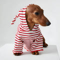 Striped hooded pet clothes in red and blue for dogs and cats, two feet design