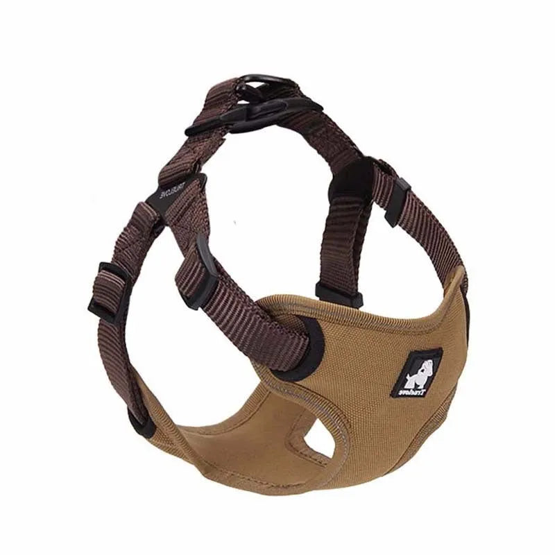 Dog leash and collar set made of Oxford cloth and breathable mesh with zinc alloy clip, black red colour, size M