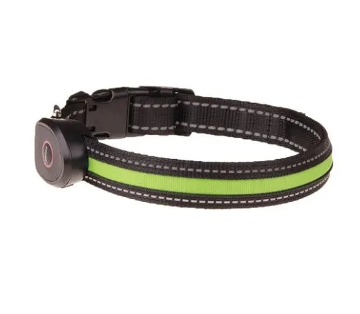Adjustable dog luminous collar in glow colour with telescopic fit for night walk visibility