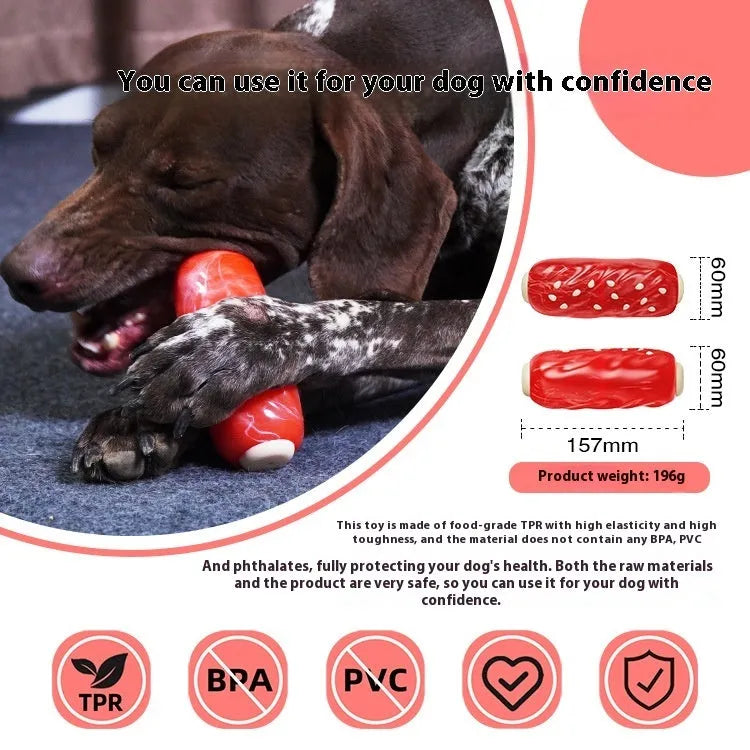 Glue Toothbrush-style plastic Molar Rod dog chew toy in a bone shape, primary colour.