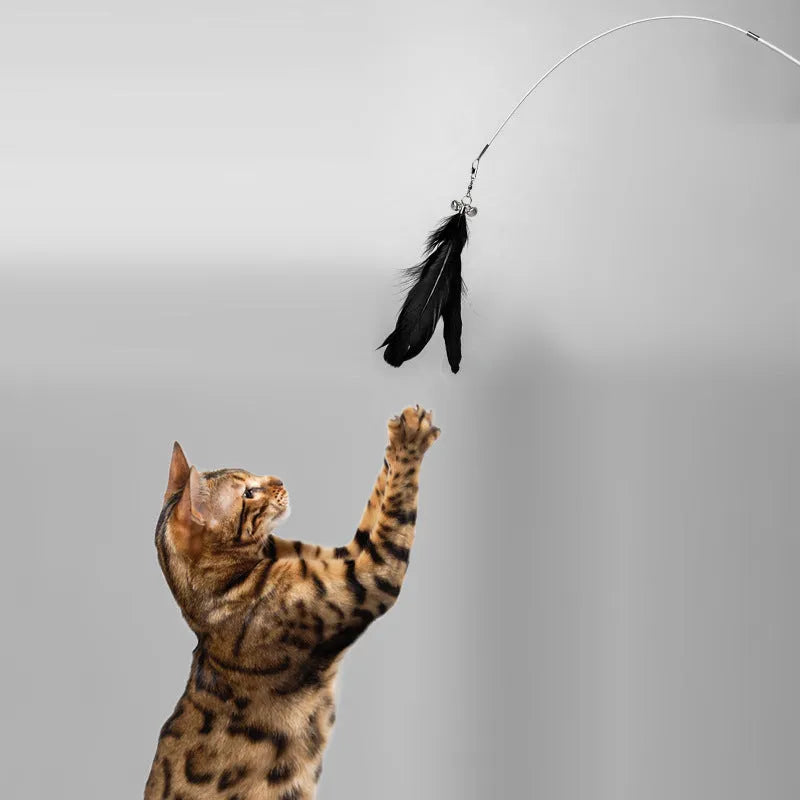 White telescopic fishing rod cat toy extended, with goose feather attachments and a small bell, on a neutral background.
