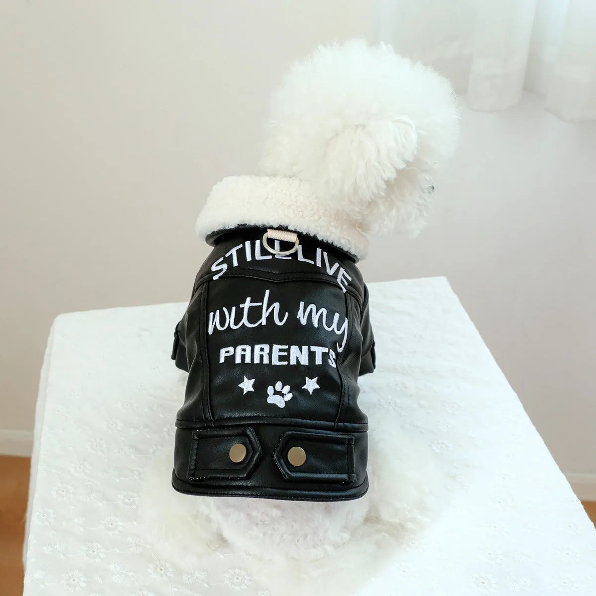 Beige fleece lined padded dog coat on a medium-sized dog, showing the fit and soft lining.