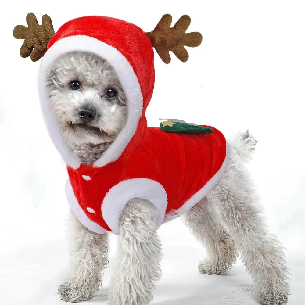 Red flannel Santa dog costume for small dogs, with size options from XS to 2XL. Folded product shown on white background.