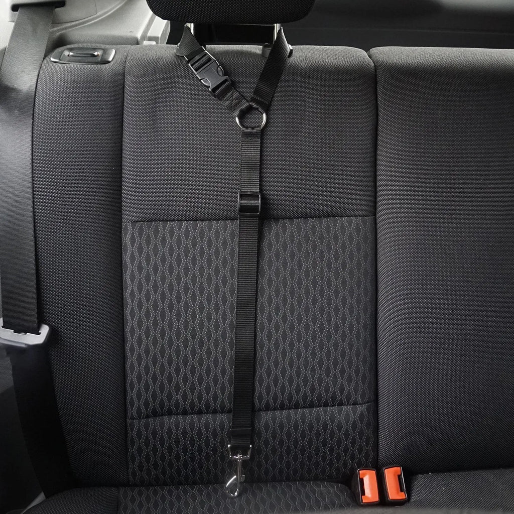 Pet safety leash made from nylon in expandable traction belt design, colour options include black