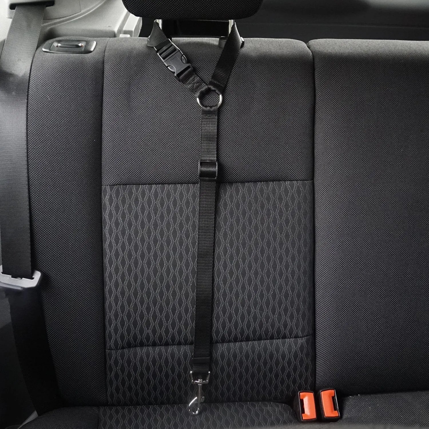 Pet safety leash made from nylon in expandable traction belt design, colour options include black