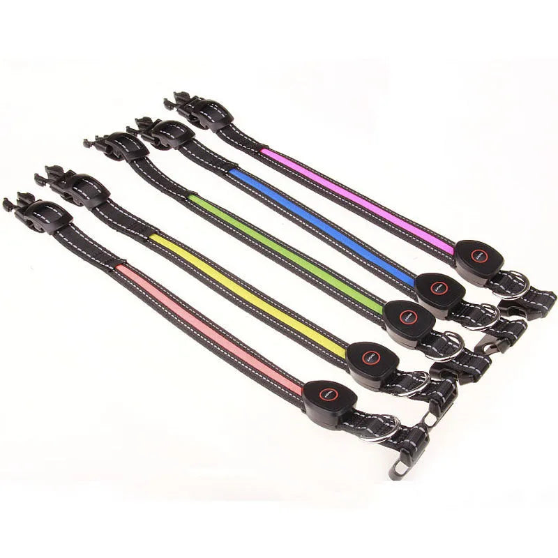 Adjustable dog luminous collar in glow colour with telescopic fit for night walk visibility