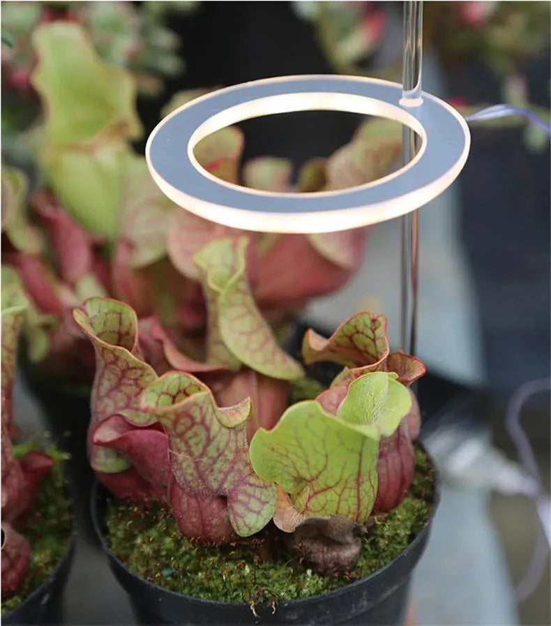 USB LED full spectrum grow light for indoor plants with transparent body and aluminium components