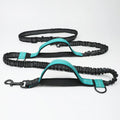 Reflective hands-free dog lead with elastic bungee, waist belt and phone pocket, adjustable 160-260cm