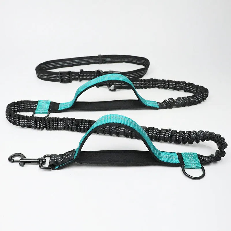 Reflective hands-free dog lead with elastic bungee, waist belt and phone pocket, adjustable 160-260cm