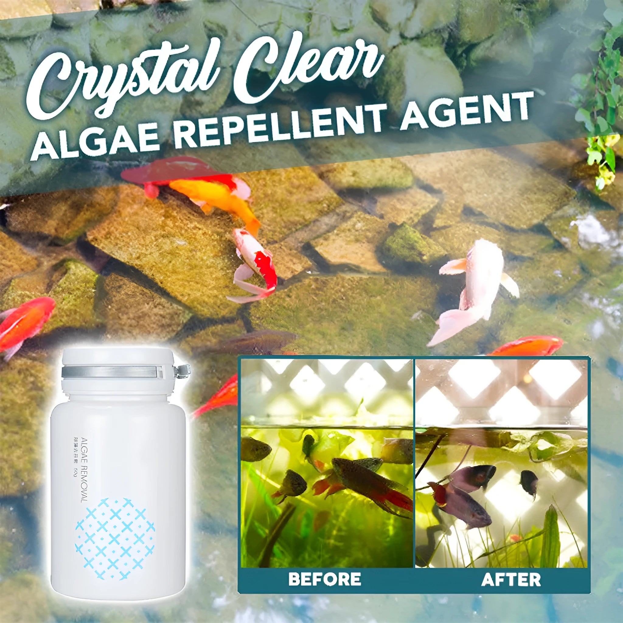 50g algaecide container for swimming pool and aquarium algae control treatment