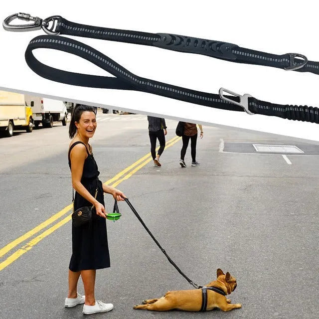 Polyester car traction dog leash with big hook hand holding rope, 2.5 x 135 cm, in black, purple, army green or orange