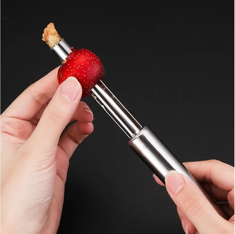 Stainless steel pineapple corer slicer with ABS handle in choice of colours