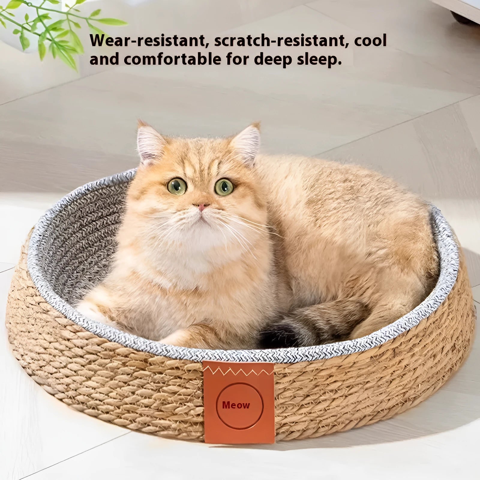 Woven rattan cat nest pet bed in a natural colour, shown in a size suitable for a medium cat.