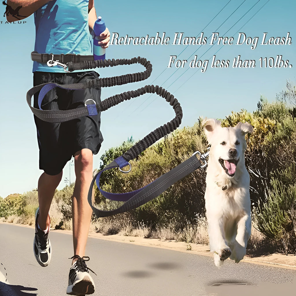 Reflective hands-free dog lead with elastic bungee, waist belt and phone pocket, adjustable 160-260cm