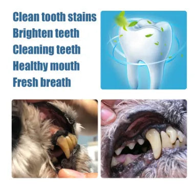 Pet teeth whitening pen and dental brush set for canine and feline tartar removal