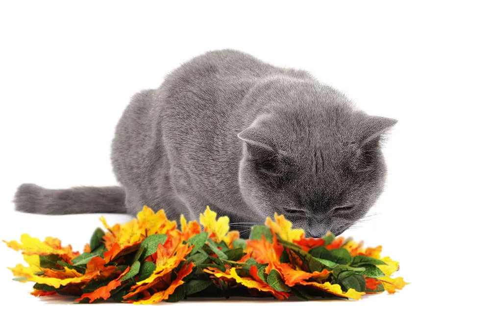 Pet jungle feeding mat, washable sniffing blanket, 55x50cm, fabric silk screen and glass fibre, colours A and B