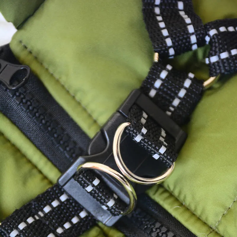 Small dog wearing a waterproof winter hooded coat jacket with reflective trim, adjustable strap, and high-quality zipper in blue colour