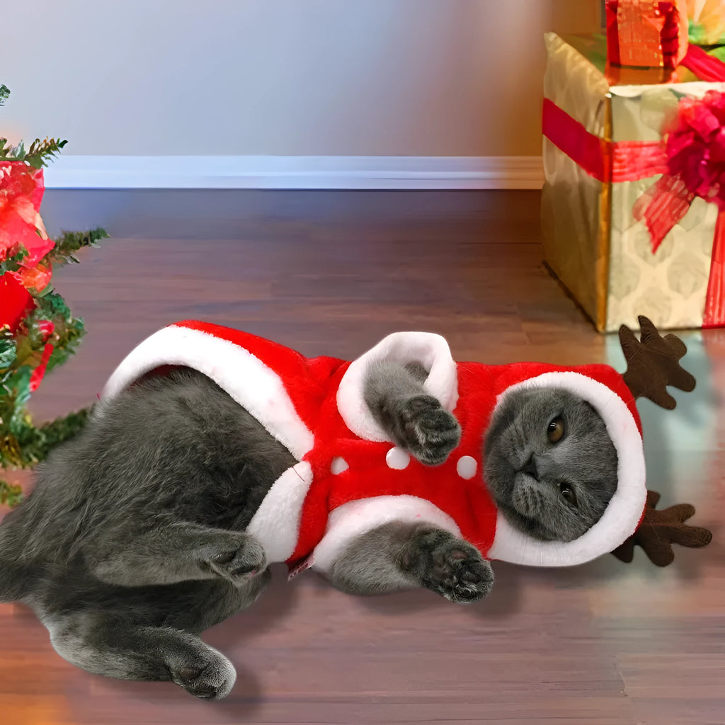 Red flannel Santa dog costume for small dogs, with size options from XS to 2XL. Folded product shown on white background.