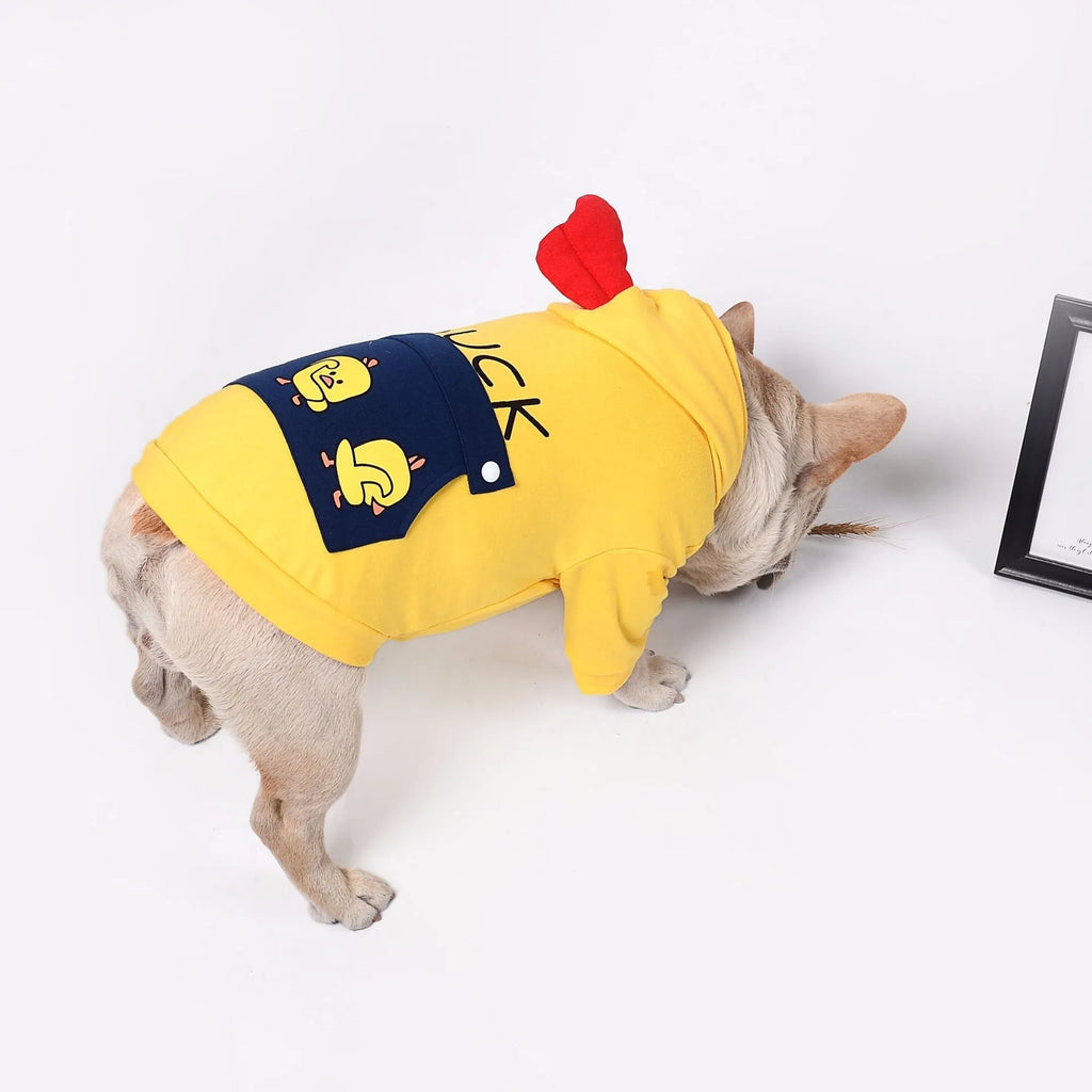 Blue pet dog sweatshirt in cotton wool pull frame, casual unisex style on a small dog