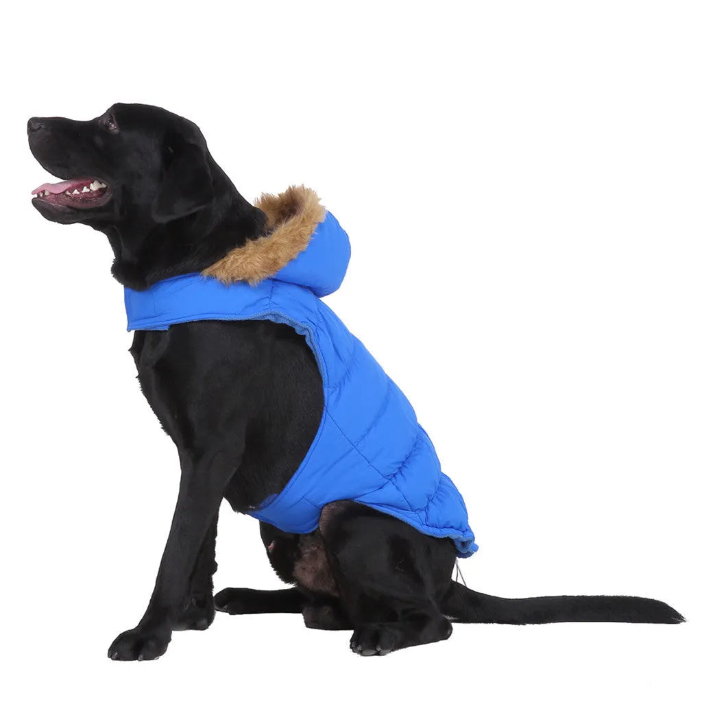 Reflective winter dog coat in blue or green, polyester, sizes S to XXL for large dogs