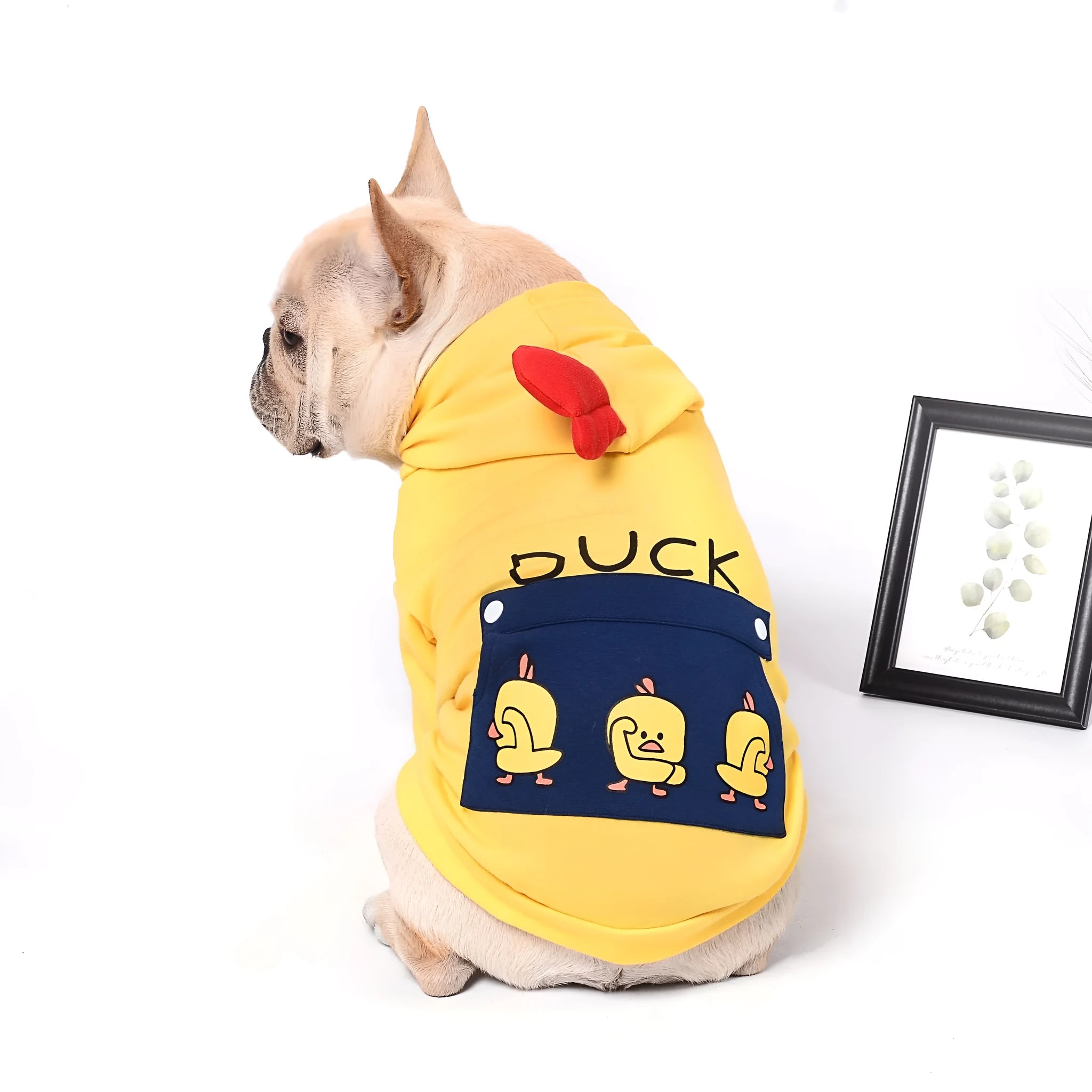 Blue pet dog sweatshirt in cotton wool pull frame, casual unisex style on a small dog