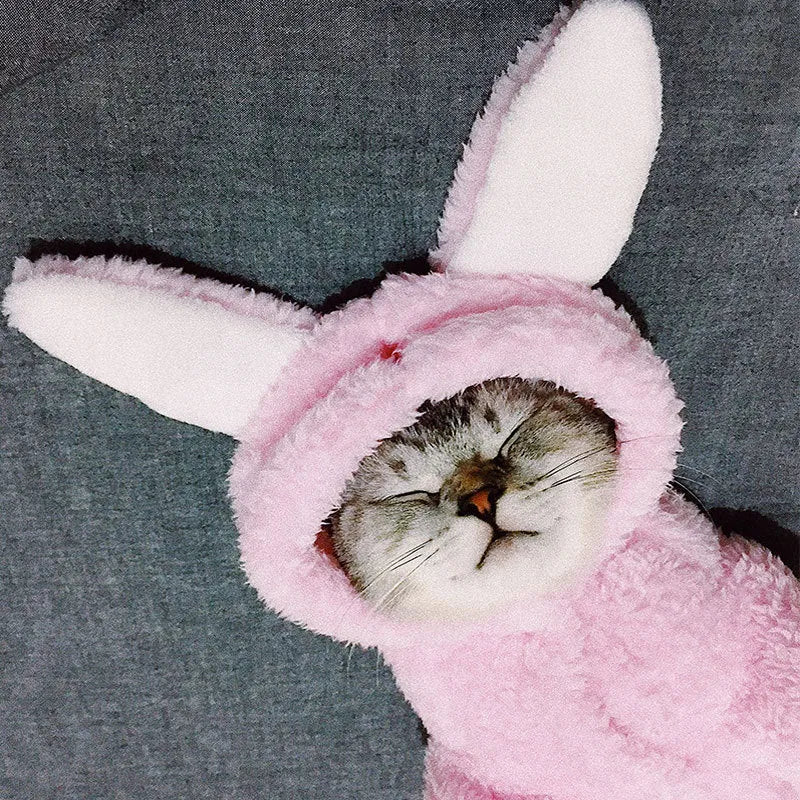 Cute pink rabbit cat costume made from cotton with button detail on the chest