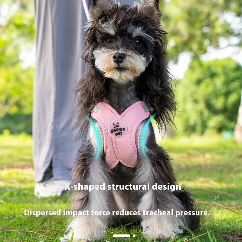 Pink polyester dog harness and bungee rope lead set shown on a size chart.