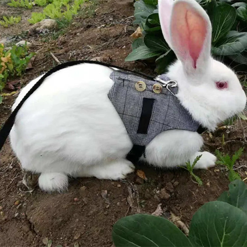 Grey cloth rabbit chest harness and leash set for small pets