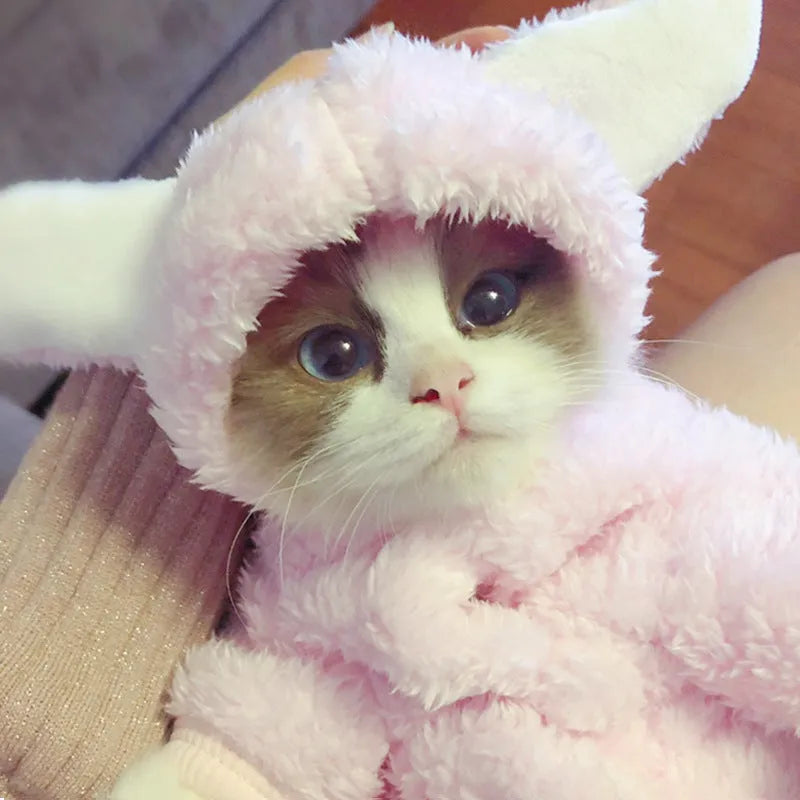 Cute pink rabbit cat costume made from cotton with button detail on the chest