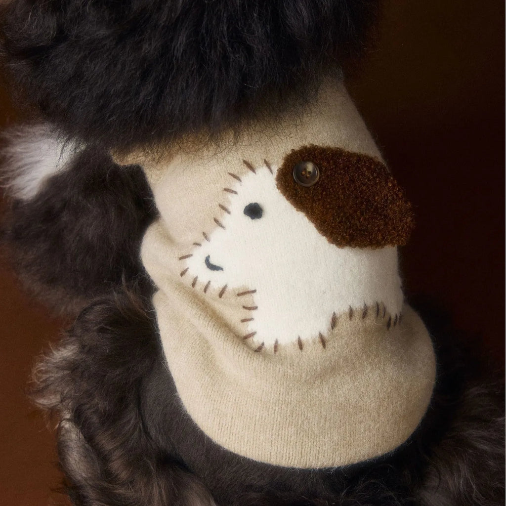 Red wool sleeveless dog vest for Schnauzer Teddy Bichon with ear clearance, casual style