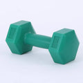 Ladies hexagon dumbbell in PE, 20cm, 1kg or 2kg, Green or Rose Red, for gym aerobics and fitness
