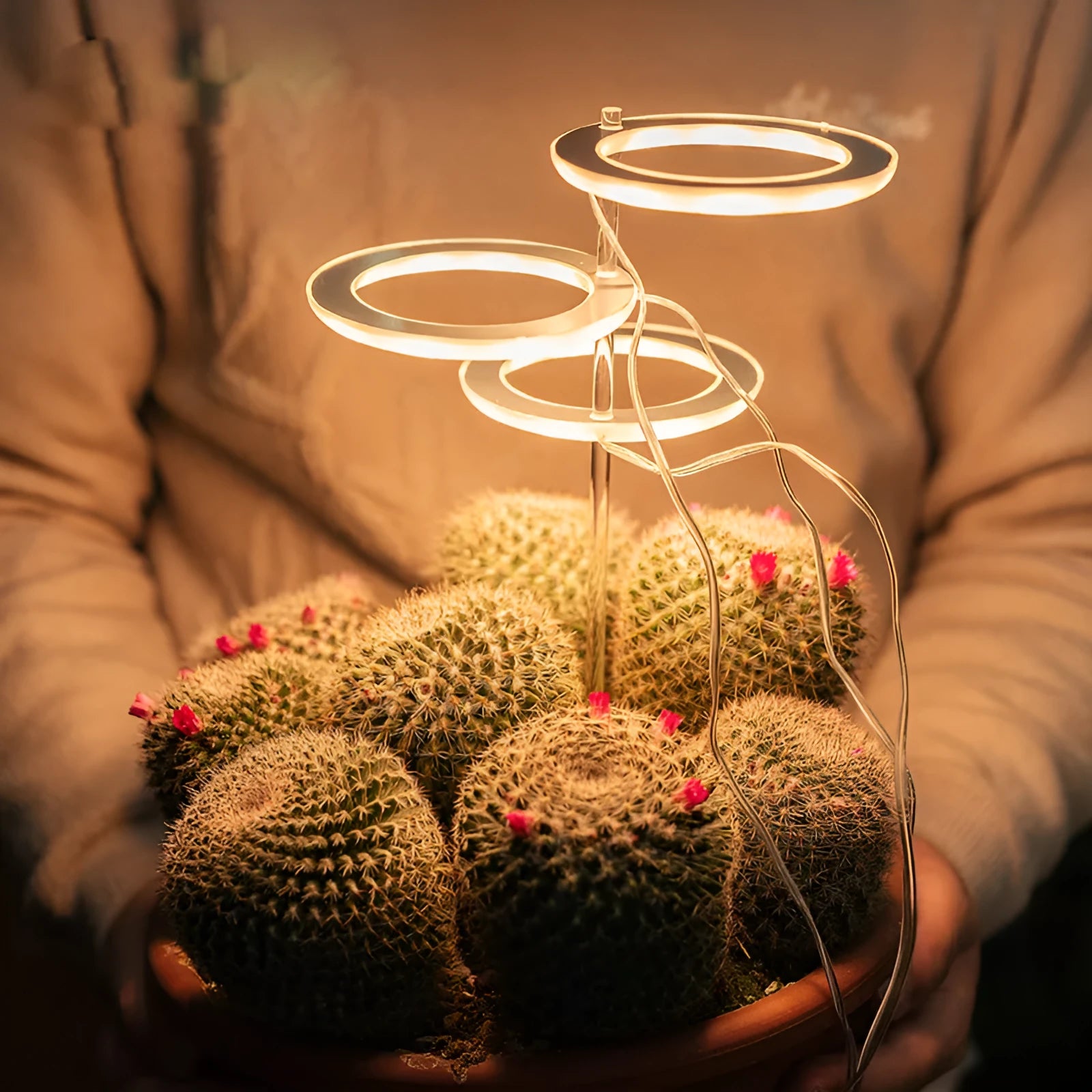 USB LED full spectrum grow light for indoor plants with transparent body and aluminium components