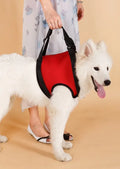 Dog pet assist belt in red, green, or orange with front leg and hind leg options, sizes S M L
