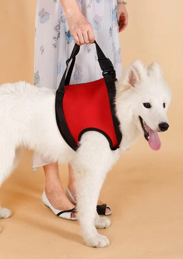 Dog pet assist belt in red, green, or orange with front leg and hind leg options, sizes S M L