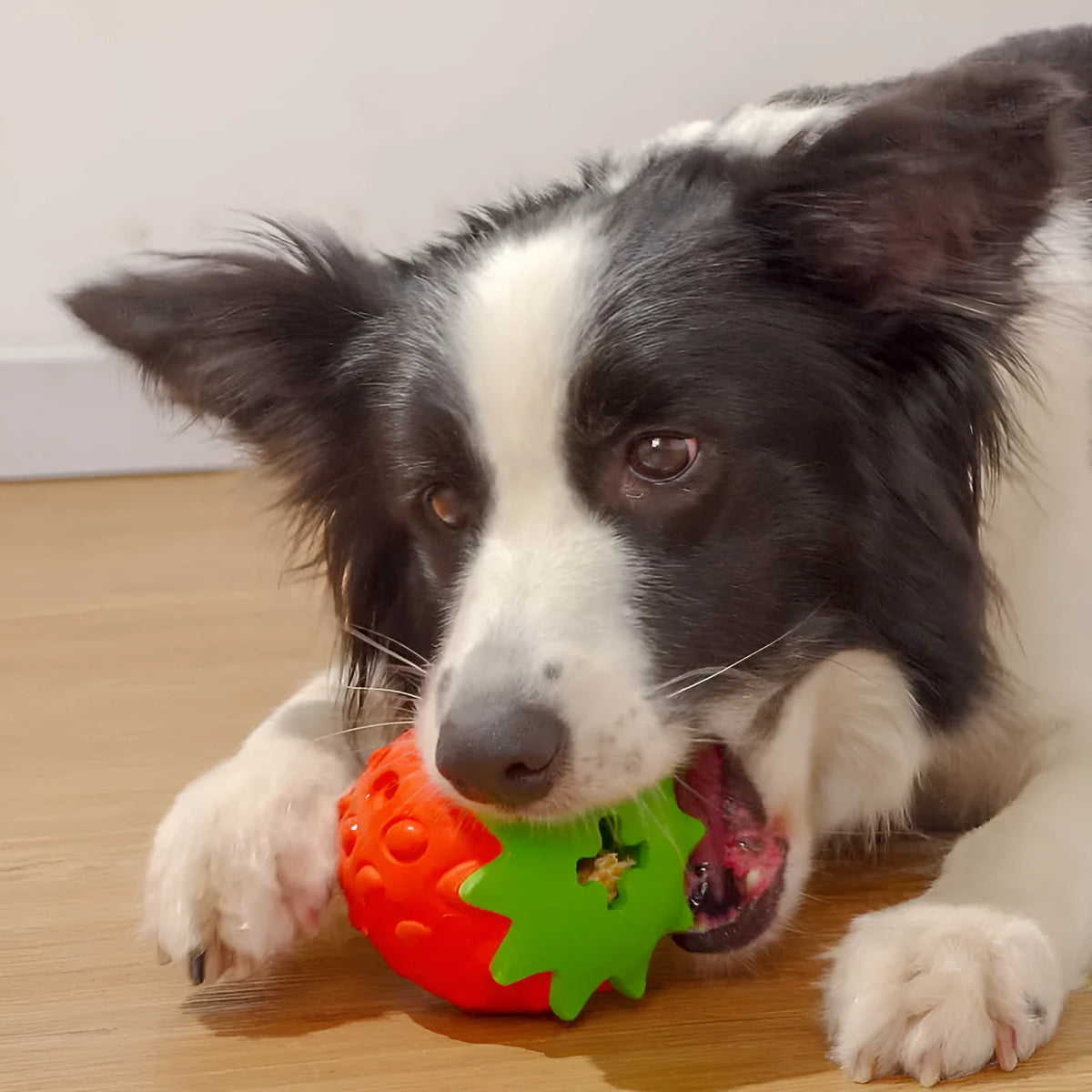 Soft rubber dog chew toy for teeth cleaning in Dragon fruit 85x128mm or Strawberry 82x98mm shape