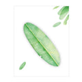 Pad of sticky notes shaped like eight different leaves including ginkgo, maple, and water lily.