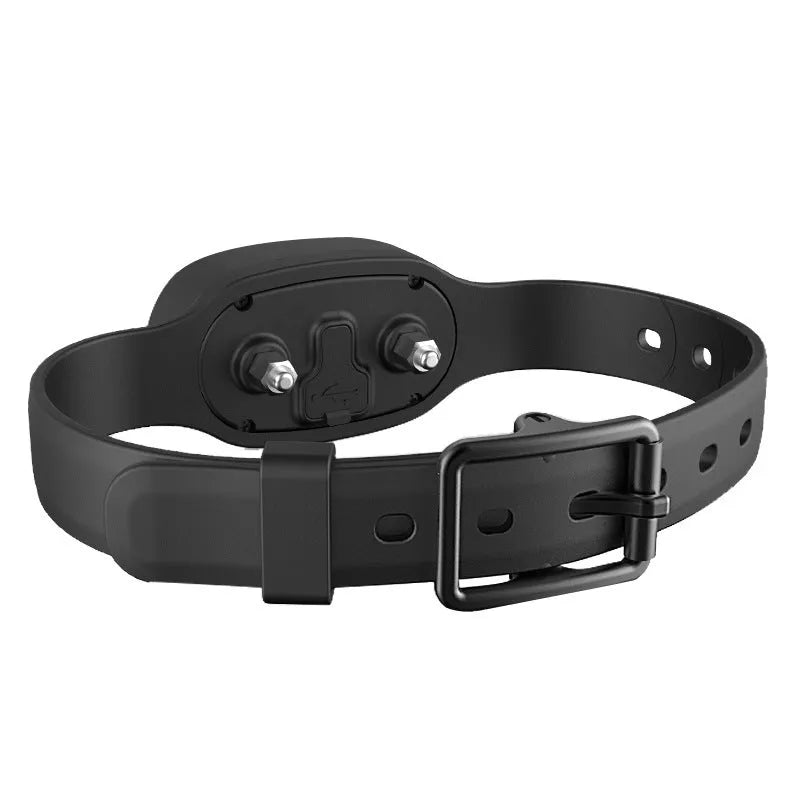 Black remote control and matching waterproof dog training collar for bark control.