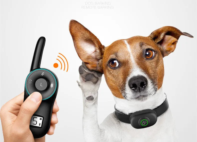 Black remote control and matching waterproof dog training collar for bark control.