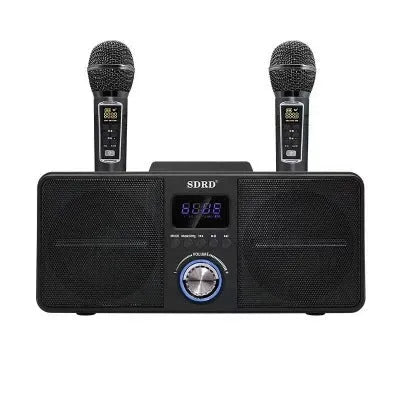 Black and gold home KTV Bluetooth speaker with two wireless microphones on a table.