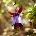 Purple metal morning glory flower bird feeder 35 cm tall for garden decoration