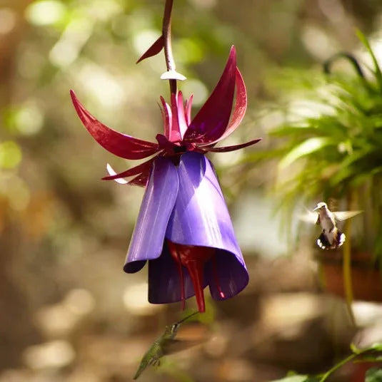 Purple metal morning glory flower bird feeder 35 cm tall for garden decoration