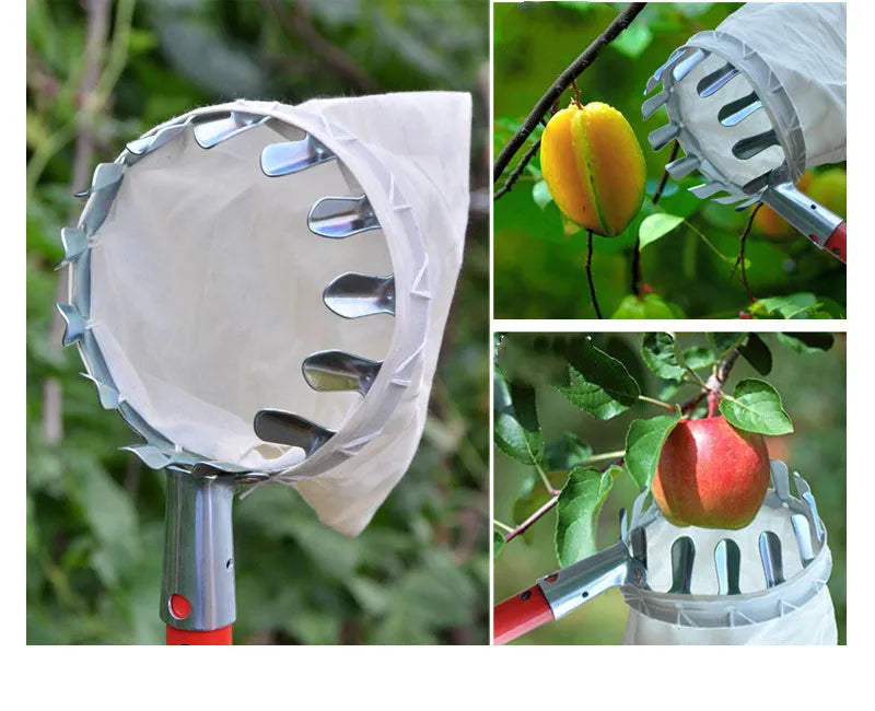 Steel frame fruit picker garden tool with a green cloth catcher bag for harvesting citrus and pears.