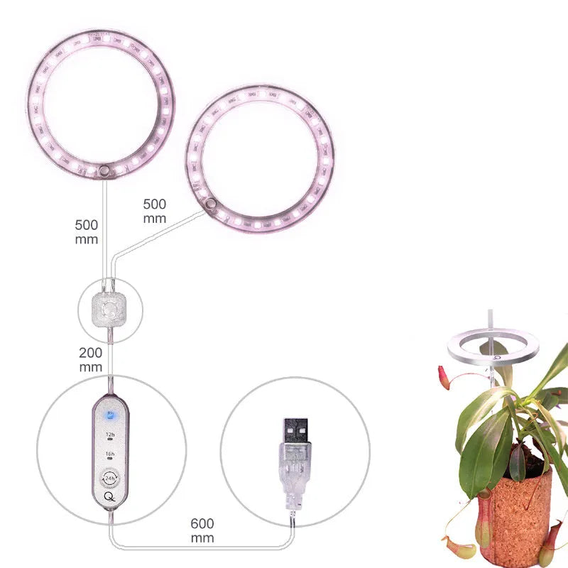 Small circular USB LED angel ring grow light for indoor plants on a desk.