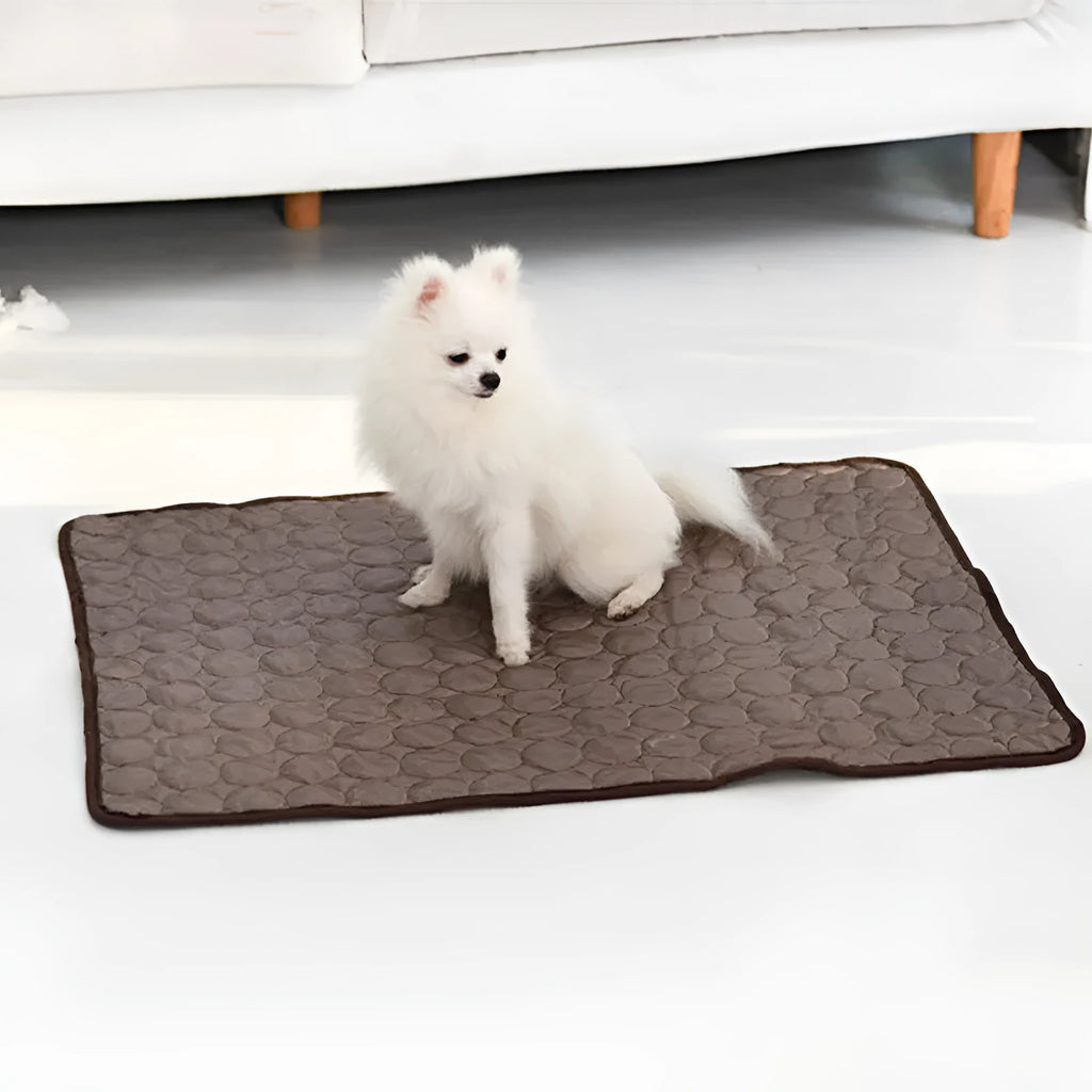 Ice silk and mesh pet cooling mat in brown, blue, gray, or pink, foldable for doghouse, cage, or floor use