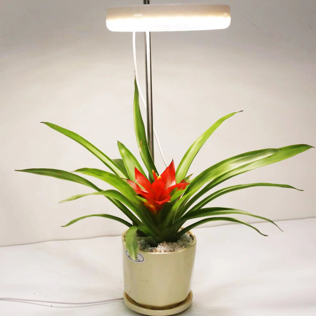 Compact desk plant growth light with full spectrum colour and PC shell, shown in single-headed style.