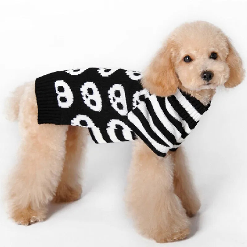 Black acrylic skull-patterned dog Halloween sweater on a small dog, sizes XXS to XL available