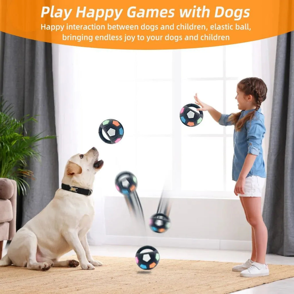 Football tennis ball shaped dog toy in white with black pattern for outdoor fetching