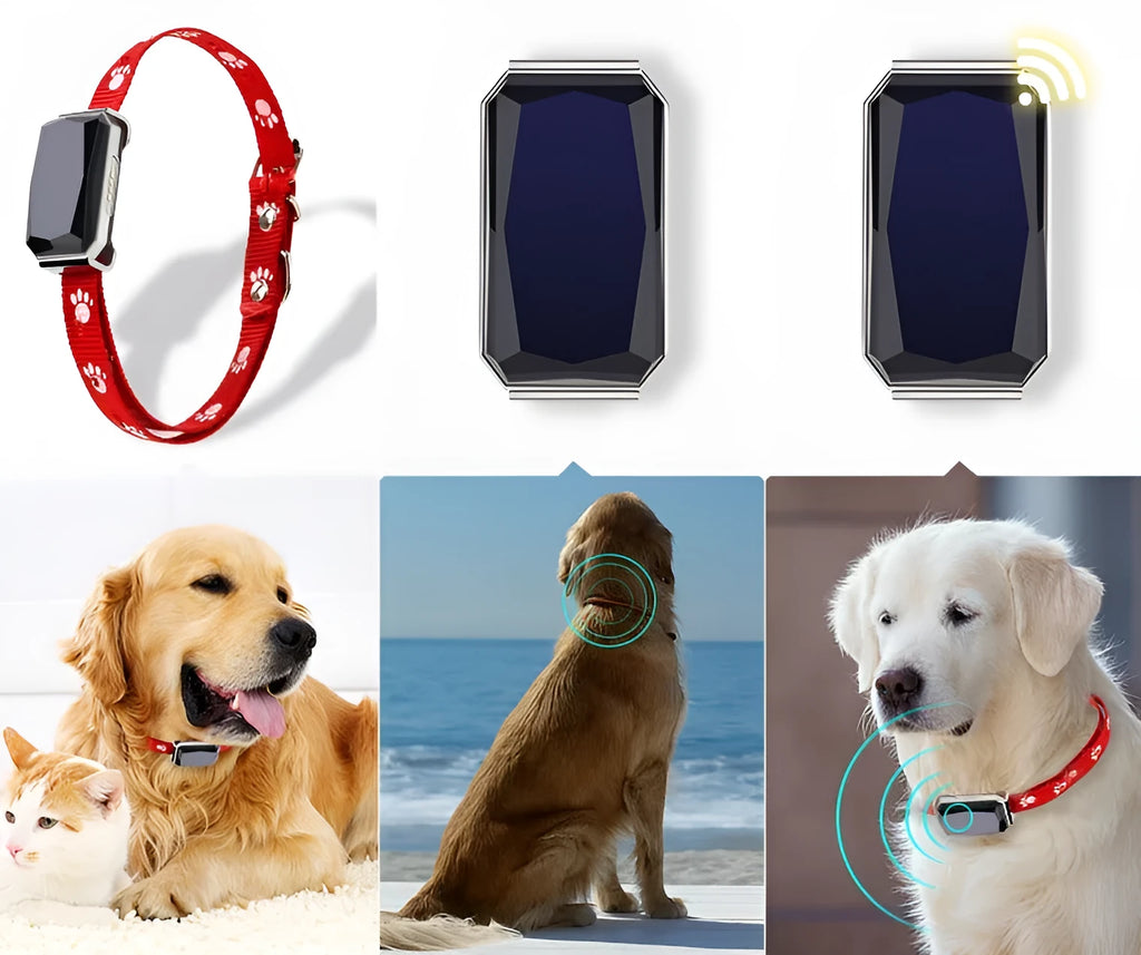 Black pet GPS tracking collar with LED light, Beidou and GPS positioning, on a light background
