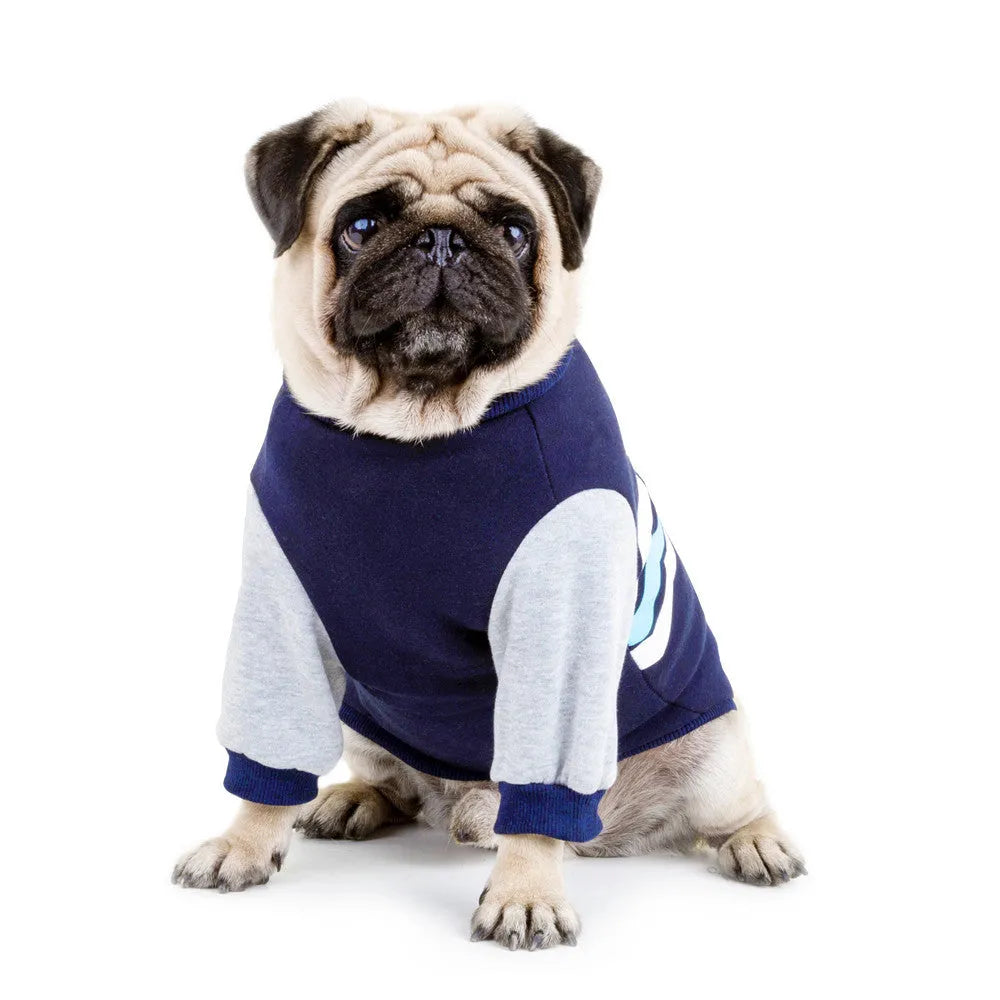Wavy two-legged hoodie dog clothes in blue, green, and red natural cotton sizes 3XL to 5XL