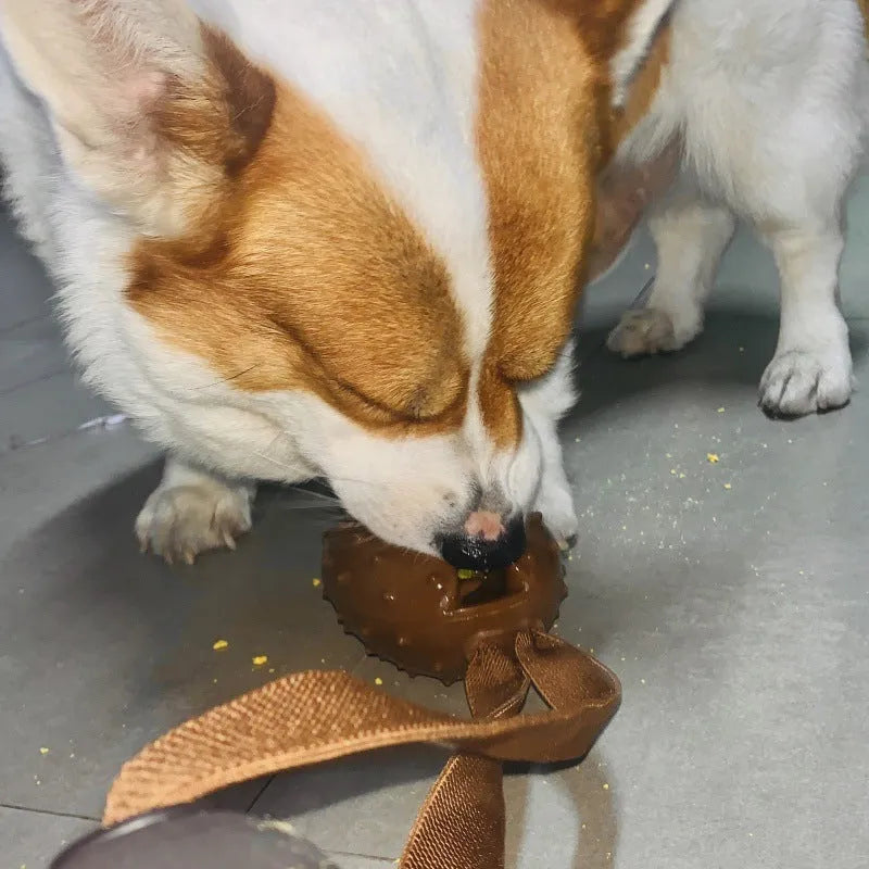 Brown coffee bean shaped dog chew toy with textured surface and hidden rope knot design